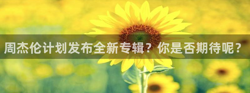 永利皇官凯捷开号链接：周杰伦计划发布全新专辑？你是否期待呢？