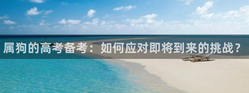 永利皇官体育平台登录入口：属狗的高考备考：如何应对即将到来的挑战？