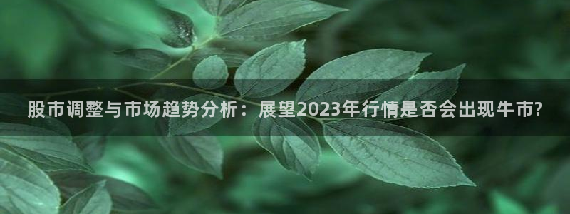 永利皇官体育平台注册：股市调整与市场趋势分析：展望2023年行情是否会出现牛市?