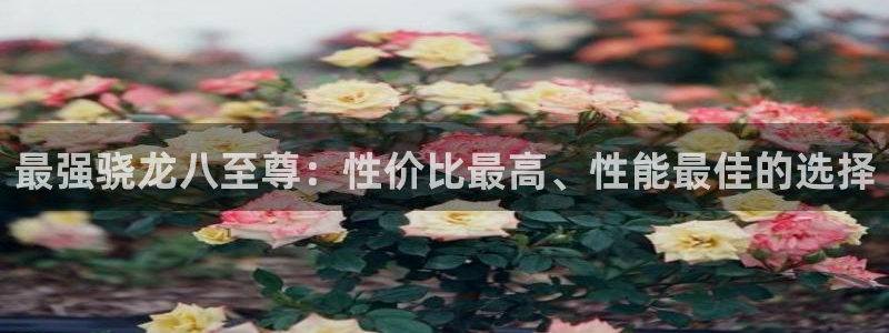 永利皇官平台注册：最强骁龙八至尊：性价比最高、性能最佳的选择