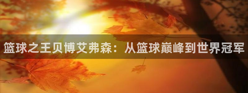 永利皇官3注册：篮球之王贝博艾弗森：从篮球巅峰到世界冠军