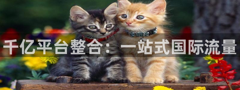 永利皇官体育2：千亿平台整合：一站式国际流量
