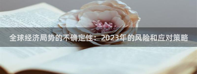 永利皇官体育网页版入口：全球经济局势的不确定性：2023年的风险和应对策略