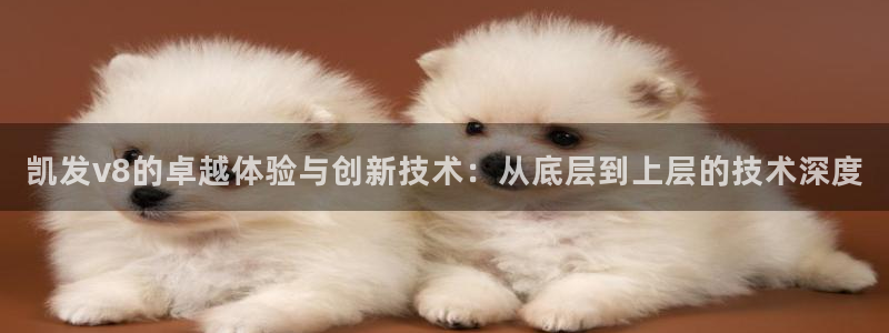 永利皇官3登陆：凯发v8的卓越体验与创新技术：从底层到上层的技术深度