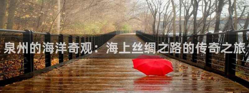 永利皇官4：泉州的海洋奇观：海上丝绸之路的传奇之旅