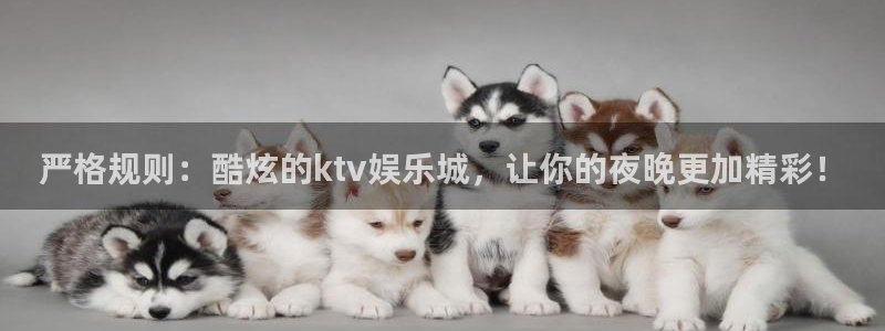 永利皇官体育老板是谁：严格规则：酷炫的ktv娱乐城，让你的夜晚更加精彩！