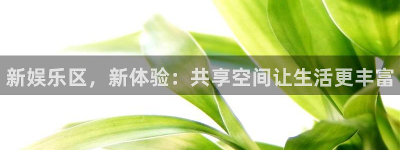 永利皇官主管：新娱乐区，新体验：共享空间让生活更丰富