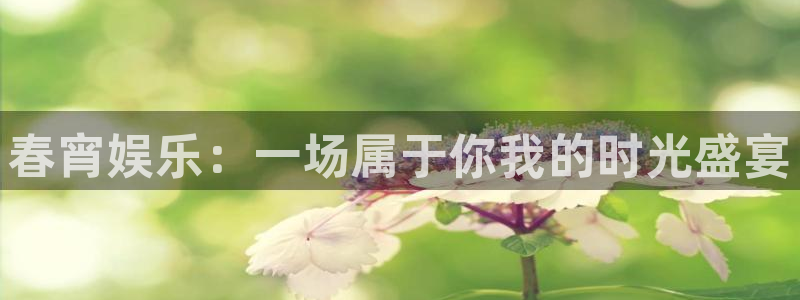 永利皇官体育代理申请流程：春宵娱乐：一场属于你我的时光盛宴