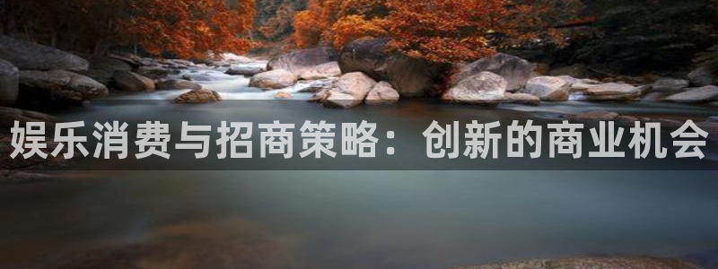 永利皇官体育网页版入口：娱乐消费与招商策略：创新的商业机会