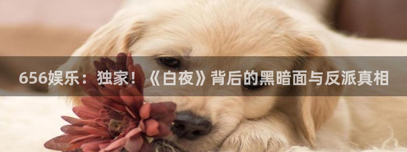 永利皇官2登录：656娱乐：独家！《白夜》背后的黑暗面与反派真相