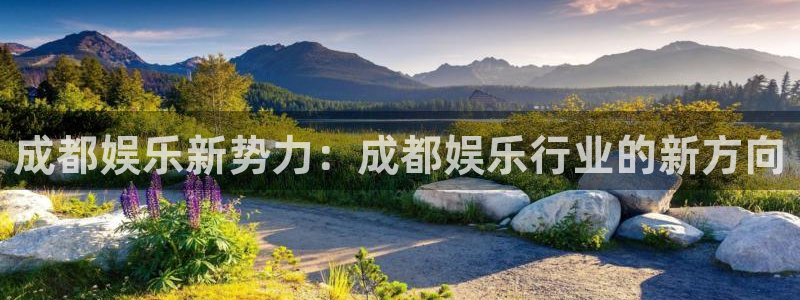 永利皇官3登录：成都娱乐新势力：成都娱乐行业的新方向