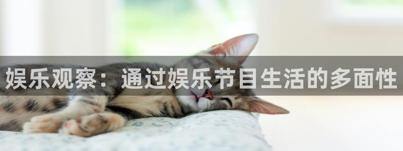 永利皇官零能源集团：娱乐观察：通过娱乐节目生活的多面性