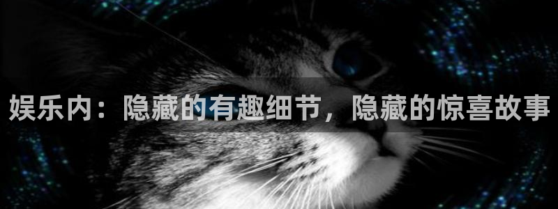永利皇官2体育：娱乐内：隐藏的有趣细节，隐藏的惊喜故事