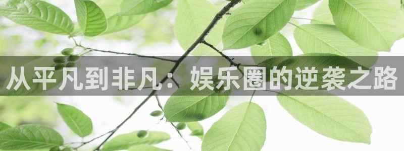 永利皇官集团股票：从平凡到非凡：娱乐圈的逆袭之路
