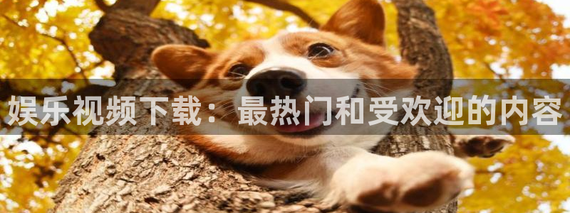 永利皇官3注册：娱乐视频下载：最热门和受欢迎的内容