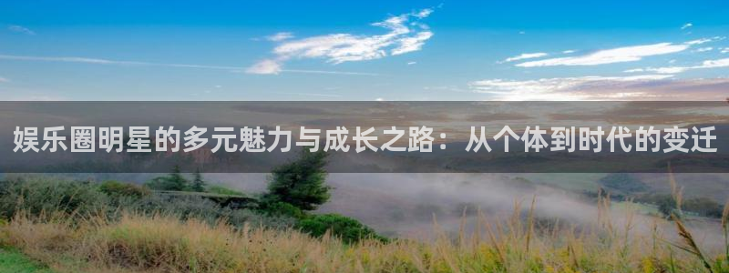 永利皇官集团总部：娱乐圈明星的多元魅力与成长之路：从个体到时代的变迁