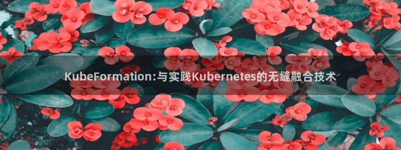 永利皇官体育代理申请流程：KubeFormation:与实践Kubernetes
