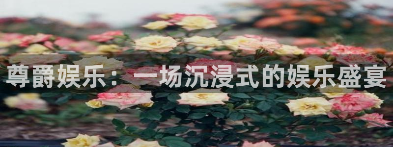 永利皇官2体育：尊爵娱乐：一场沉浸式的娱乐盛宴
