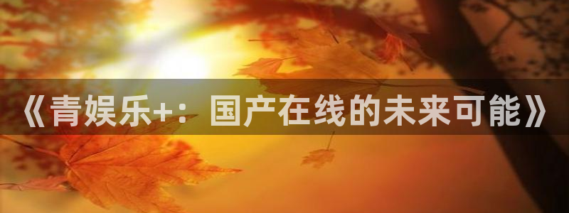 永利皇官平台开户链接：《青娱乐+：国产在线的未来可能》