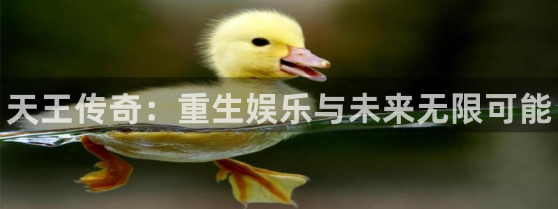永利皇官3官网登录：天王传奇：重生娱乐与未来无限可能